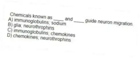 Chemicals known as ____ and ____ guide neuron migration.
A) immunoglobulins; sodium
B) glia; neurothrophins
C) immunoglobulins; chemokines
D) chemokines; neurothrophins