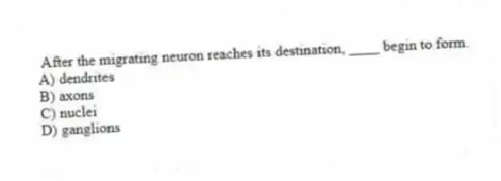 After the migrating neuron reaches its destination, ____ begin to form.
A) dendrites
B) axons
C) nuclei
D) ganglions