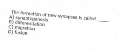 The formation of new synapses is called ____.
A) synaptogenesis
B) differentiation
C) migration
D) fusion