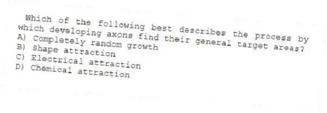 Which of the following best describes the process by which developing axons find their general target areas?
A) Completely random growth
B) Shape attraction
C) Electrical attraction
D) Chemical attraction