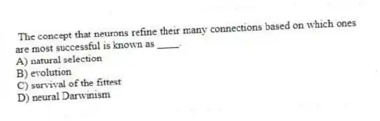 The concept that neurons refine their many connections based on which ones are most successful is known as ____.
A) natural selection
B) evolution
C) survival of the fittest
D) neural Darwinism