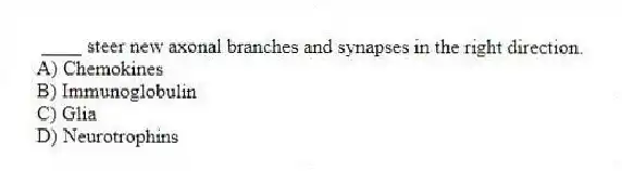 ____ steer new axonal branches and synapses in the right direction.
A) Chemokines
B) Immunoglobulin
C) Glia
D) Neurotrophins