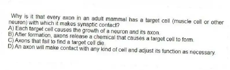 Why is it that every axon in an adult mammal has a target cell (muscle cell or other neuron) with which it makes synaptic contact?
A) Each target cell causes the growth of a neuron and its axon.
B) After formation, axons release a chemical that causes a target cell to form.
C) Axons that fail to find a target cell die.
D) An axon will make contact with any kind of cell and adjust its function as necessary.