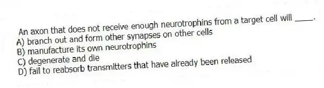An axon that does not receive enough neurotrophins from a target cell will ____.
A) branch out and form other synapses on other cells
B) manufacture its own neurotrophins
C) degenerate and die
D) fail to reabsorb transmitters that have already been released