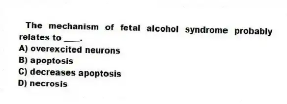 The mechanism of fetal alcohol syndrome probably relates to ____.
A) overexcited neurons
B) apoptosis
C) decreases apoptosis
D) necrosis