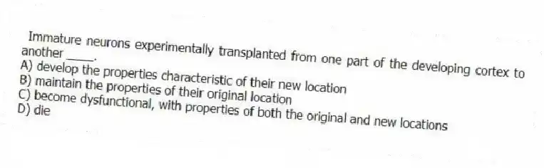 Immature neurons experimentally transplanted from one part of the developing cortex to another ____.
A) develop the properties characteristic of their new location
B) maintain the properties of their original location
C) become dysfunctional, with properties of both the original and new locations
D) die
