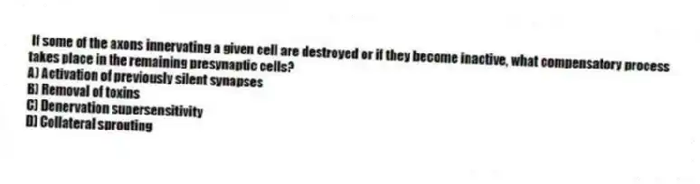 If some of the axons innervating a given cell are destroyed or if they become inactive, what compensatory process takes place in the remaining presynaptic cells?
A) Activation of previously silent synapses
B) Removal of toxins
C) Denervation supersensitivity
D) Collateral sprouting