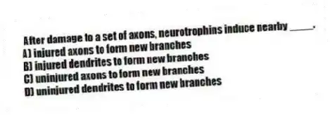 After damage to a set of axons, neurotrophins induce nearby ____.
A) injured axons to form new branches
B) injured dendrites to form new branches
C) uninjured axons to form new branches
D) uninjured dendrites to form new branches