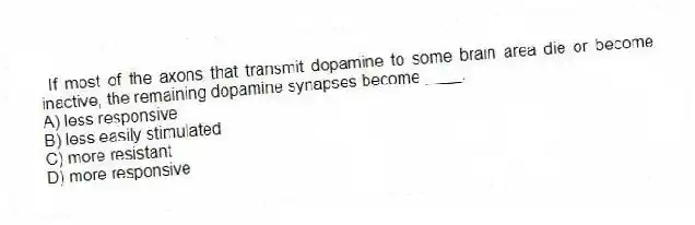 If most of the axons that transmit dopamine to some brain area die or become inactive, the remaining dopamine synapses become ____.
A) less responsive
B) less easily stimulated
C) more resistant
D) more responsive