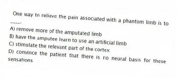 One way to relieve the pain associated with a phantom limb is to ____.
A) remove more of the amputated limb
B) have the amputee learn to use an artificial limb
C) stimulate the relevant part of the cortex
D) convince the patient that there is no neural basis for these sensations