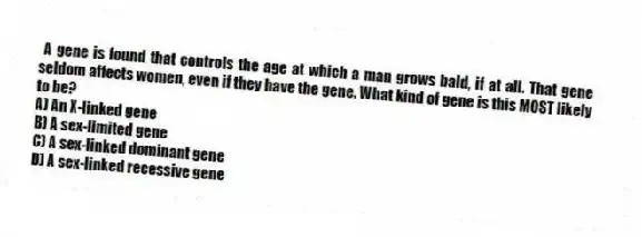 A gene is found that controls the age at which a man grows bald, if at all. That gene seldom affects women, even if they have the gene. What kind of gene is this MOST likely to be?
A) An X-linked gene
B) A sex-limited gene
C) A sex-linked dominant gene
D) A sex-linked recessive gene