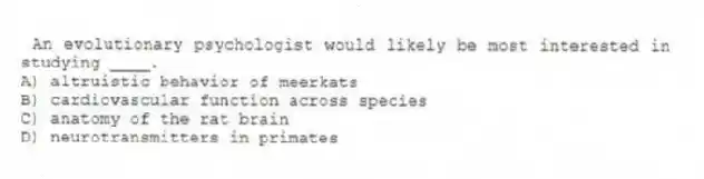 An evolutionary psychologist would likely be most interested in studying ____.
A) altruistic behavior of meerkats
B) cardiovascular function across species
C) anatomy of the rat brain
D) neurotransmitters in primates