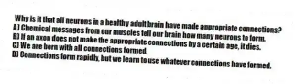 Why is it that all neurons in a healthy adult brain have made appropriate connections?
A) Chemical messages from our muscles tell our brain how many neurons to form.
B) If an axon does not make the appropriate connections by a certain age, it dies.
C) We are born with all connections formed.
D) Connections form rapidly, but we learn to use whatever connections have formed.
