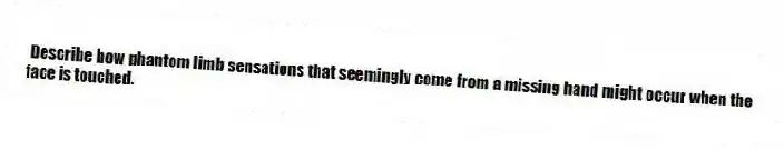 Describe how phantom limb sensations that seemingly come from a missing hand might occur when the face is touched.