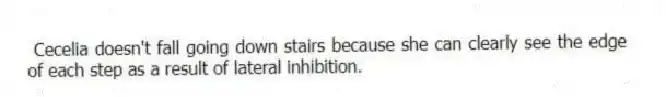 Cecelia doesn't fall going down stairs because she can clearly see the edge of each step as a result of lateral inhibition.
