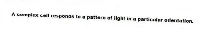 A complex cell responds to a pattern of light in a particular orientation.