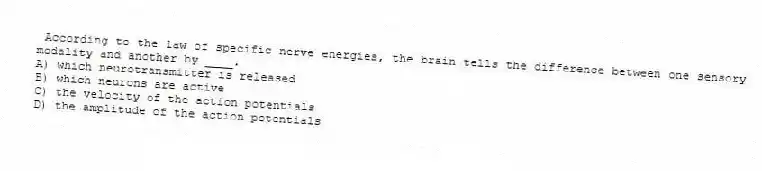 According to the law of specific nerve energies, the brain tells the difference between one sensory modality and another by ____.
A) which neurotransmitter is released
B) which neurons are active
C) the velocity of the action potentials
D) the amplitude of the action potentials