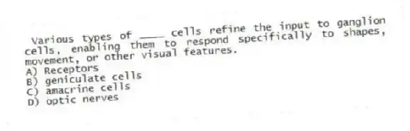 Various types of ____ cells refine the input to ganglion cells, enabling them to respond specifically to shapes, movement, or other visual features.
A) Receptors
B) geniculate cells
C) amacrine cells
D) optic nerves