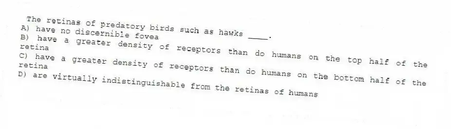 The retinas of predatory birds such as hawks ____.
A) have no discernible fovea
B) have a greater density of receptors than do humans on the top half of the retina
C) have a greater density of receptors than do humans on the bottom half of the retina
D) are virtually indistinguishable from the retinas of humans