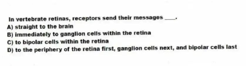 In vertebrate retinas, receptors send their messages ____.
A) straight to the brain
B) immediately to ganglion cells within the retina
C) to bipolar cells within the retina
D) to the periphery of the retina first, ganglion cells next, and bipolar cells last