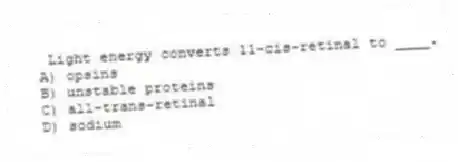 Light energy converts 11-cis-retinal to ____.
A) opsins
B) unstable proteins
C) all-trans-retinal
D) sodium