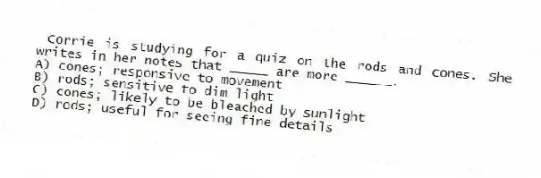 Corrie is studying for a quiz on the rods and cones. She writes in her notes that _____ are more ______.
A) cones; responsive to movement
B) rods; sensitive to dim light
C) cones; likely to be bleached by sunlight
D) rods; useful for seeing fine details