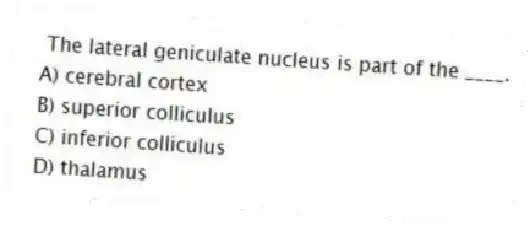 The lateral geniculate nucleus is part of the ____.
A) cerebral cortex
B) superior colliculus
C) inferior colliculus
D) thalamus