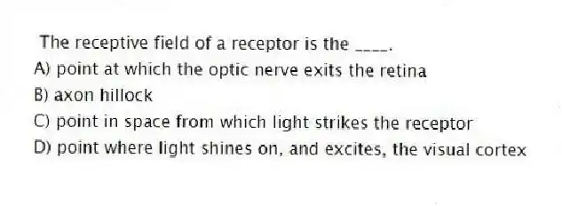 The receptive field of a receptor is the ____.
A) point at which the optic nerve exits the retina
B) axon hillock
C) point in space from which light strikes the receptor
D) point where light shines on, and excites, the visual cortex