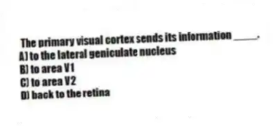  The primary visual cortex sends its information ____.
A) to the lateral geniculate nucleus
B) to area V1
C) to area V2
D) back to the retina