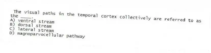 The visual paths in the temporal cortex collectively are referred to as the ____.
A) ventral stream
B) dorsal stream
C) lateral stream
D) magnoparvocellular pathway