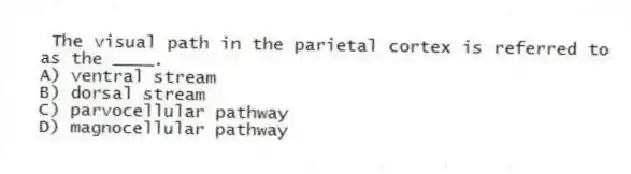 The visual path in the parietal cortex is referred to as the ____.
A) ventral stream
B) dorsal stream
C) parvocellular pathway
D) magnocellular pathway
