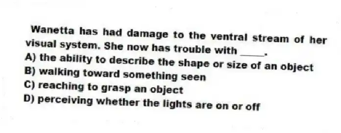 Wanetta has had damage to the ventral stream of her visual system. She now has trouble with _____.
A) the ability to describe the shape or size of an object
B) walking toward something seen
C) reaching to grasp an object
D) perceiving whether the lights are on or off