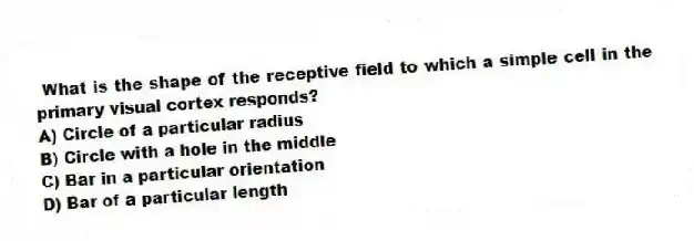 What is the shape of the receptive field to which a simple cell in the primary visual cortex responds?
A) Circle of a particular radius
B) Circle with a hole in the middle
C) Bar in a particular orientation
D) Bar of a particular length