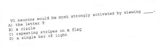 V1 neurons would be most strongly activated by viewing ____.
A) the letter T
B) a circle
C) repeating stripes on a flag
D) a single bar of light