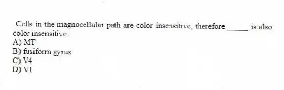 Cells in the magnocellular path are color insensitive, therefore _____ is also color insensitive.
A) MT
B) fusiform gyrus
C) V4
D) V1