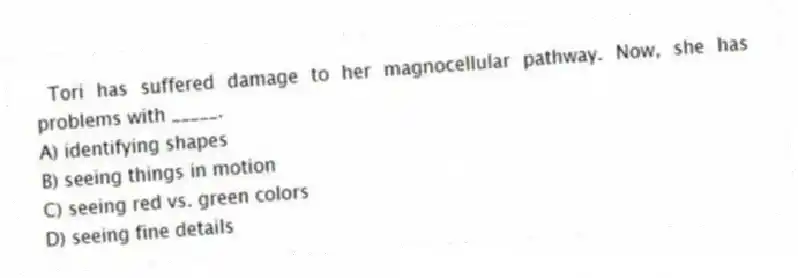 Tori has suffered damage to her magnocellular pathway. Now, she has problems with _____.
A) identifying shapes
B) seeing things in motion
C) seeing red vs. green colors
D) seeing fine details