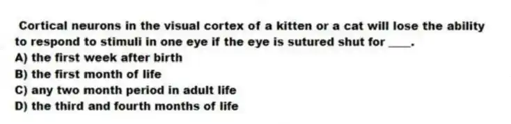 Cortical neurons in the visual cortex of a kitten or a cat will lose the ability to respond to stimuli in one eye if the eye is sutured shut for ____.
A) the first week after birth
B) the first month of life
C) any two month period in adult life
D) the third and fourth months of life