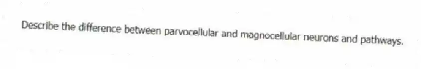 Describe the difference between parvocellular and magnocellular neurons and pathways.