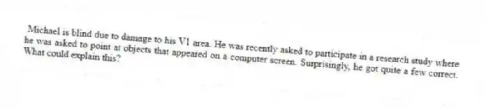 Michael is blind due to damage to his V1 area. He was recently asked to participate in a research study where he was asked to point at objects that appeared on a computer screen. Surprisingly, he got quite a few correct. What could explain this?