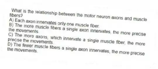 What is the relationship between the motor neuron axons and muscle fibers?
A) Each axon innervates only one muscle fiber.
B) The more muscle fibers a single axon innervates, the more precise the movements.
C) The more axons, which innervate a single muscle fiber, the more precise the movements.
D) The fewer muscle fibers a single axon innervates, the more precise the movements.