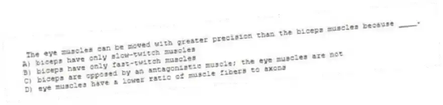 The eye muscles can be moved with greater precision than the biceps muscles because ____.
A) biceps have only slow-twitch muscles
B) biceps have only fast-twitch muscles
C) biceps are opposed by an antagonistic muscle; the eye muscles are not
D) eye muscles have a lower ratio of muscle fibers to axons