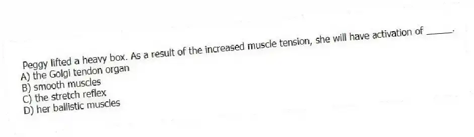 Peggy lifted a heavy box. As a result of the increased muscle tension, she will have activation of _____.
A) the Golgi tendon organ
B) smooth muscles
C) the stretch reflex
D) her ballistic muscles