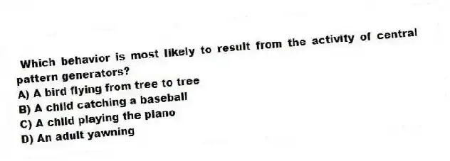 Which behavior is most likely to result from the activity of central pattern generators?
A) A bird flying from tree to tree
B) A child catching a baseball
C) A child playing the piano
D) An adult yawning
