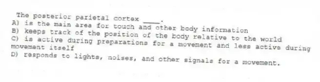 The posterior parietal cortex ____.
A) is the main area for touch and other body information
B) keeps track of the position of the body relative to the world
C) is active during preparations for a movement and less active during movement itself
D) responds to lights, noises, and other signals for a movement.
