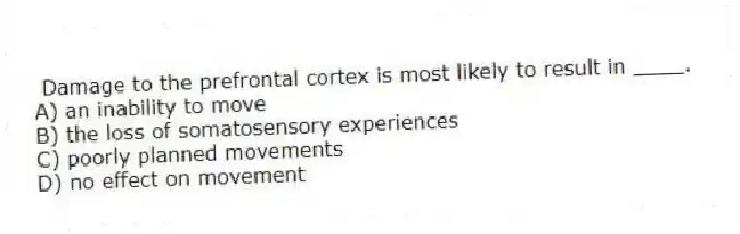 Damage to the prefrontal cortex is most likely to result in ____.
A) an inability to move
B) the loss of somatosensory experiences
C) poorly planned movements
D) no effect on movement