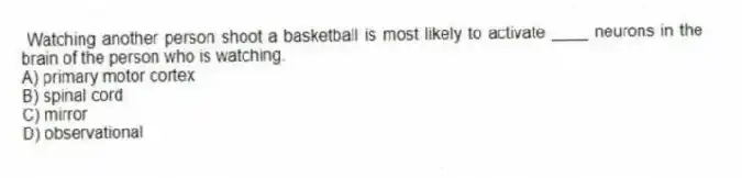 Watching another person shoot a basketball is most likely to activate ____ neurons in the brain of the person who is watching.
A) primary motor cortex
B) spinal cord
C) mirror
D) observational