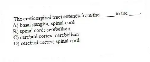 The corticospinal tract extends from the _____ to the ____.
A) basal ganglia; spinal cord
B) spinal cord; cerebellum
C) cerebral cortex; cerebellum
D) cerebral cortex; spinal cord