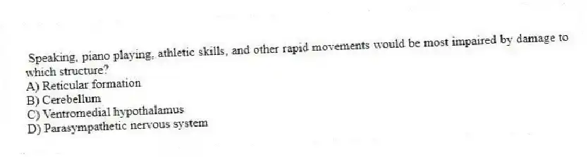 Speaking, piano playing, athletic skills, and other rapid movements would be most impaired by damage to which structure?
A) Reticular formation
B) Cerebellum
C) Ventromedial hypothalamus
D) Parasympathetic nervous system