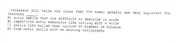 Professor Gill tells his class that the basal ganglia are very important for learning _____.
A) motor habits that are difficult to describe in words
B) repetitive motor behaviors like cutting with a knife
C) skills like ballet that include an element of balance
D) fine motor skills such as writing calligraphy