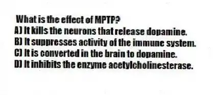 What is the effect of MPTP?
A) It kills the neurons that release dopamine.
B) It suppresses activity of the immune system.
C) It is converted in the brain to dopamine.
D) It inhibits the enzyme acetylcholinesterase.
